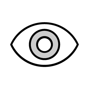 icon1